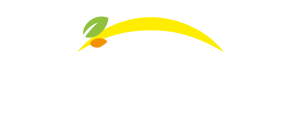 Bonduelle - Povratak na početnu stranicu